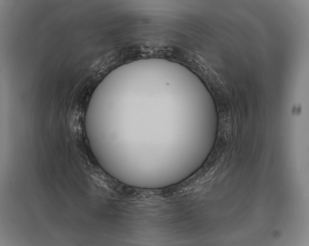 X0000097910770200803281402