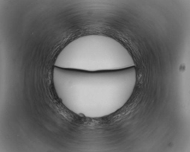 X0000097910772200803281402