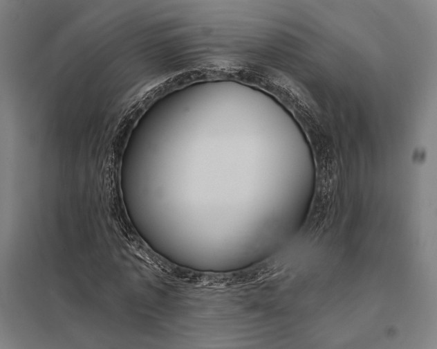 X0000097910773200803281402