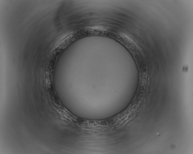 X0000097910774200803281402