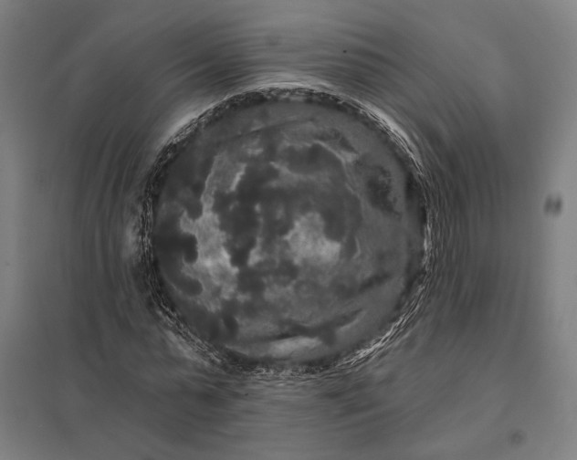 X0000097910775200803281402