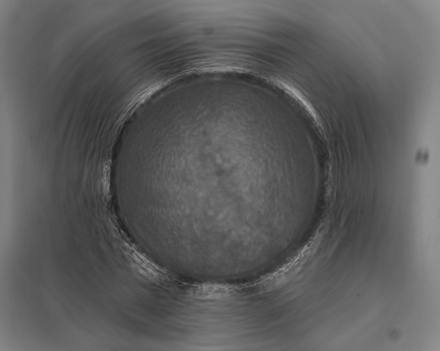 X0000097910777200803281402