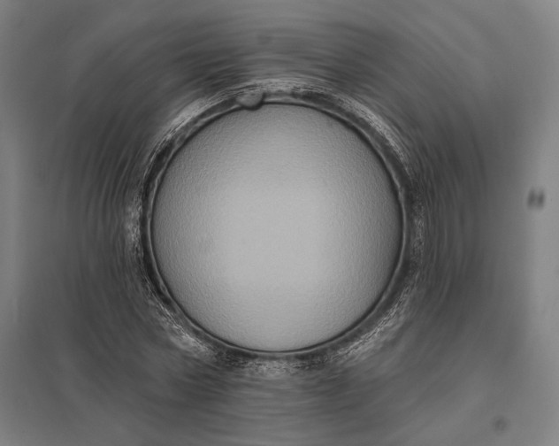 X0000097910778200803281402