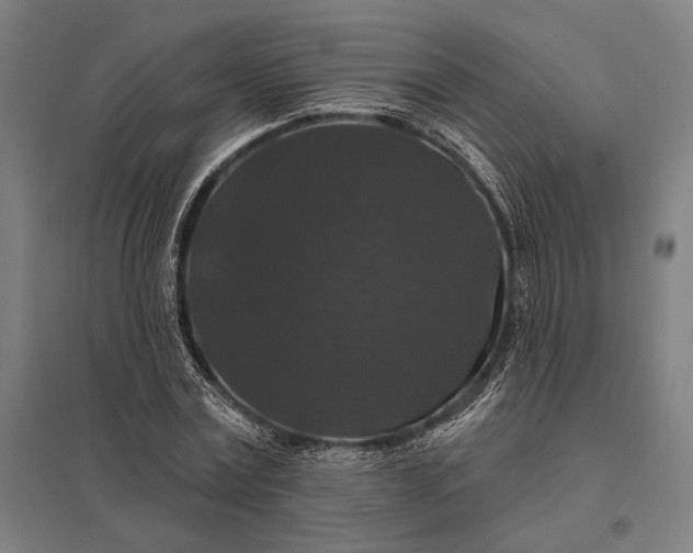 X0000097910779200803281402