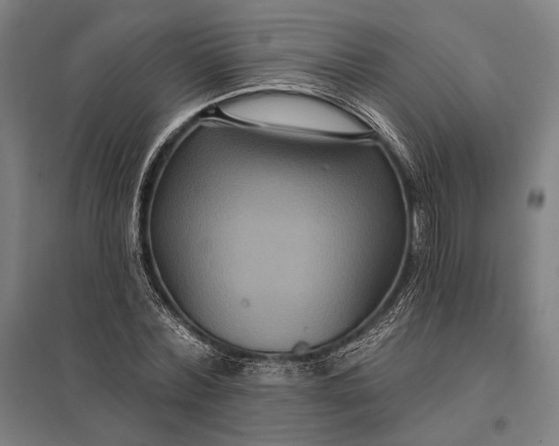 X0000097910780200803281402