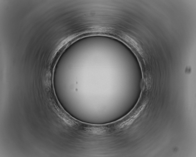 X0000097910781200803281401