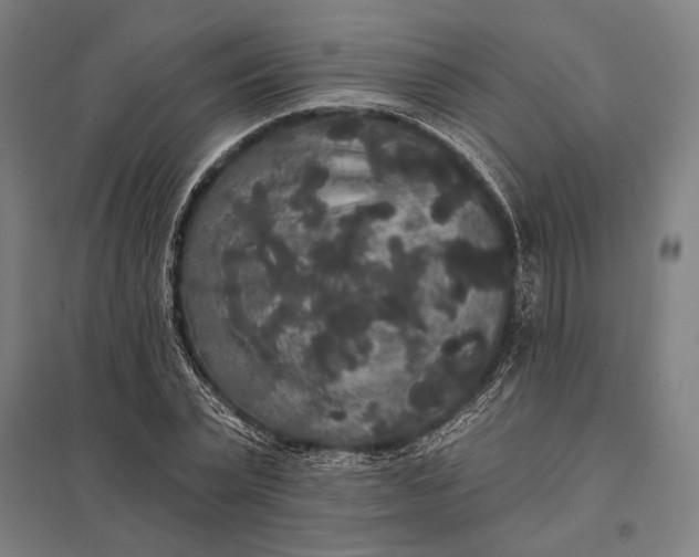 X0000097910783200803281401