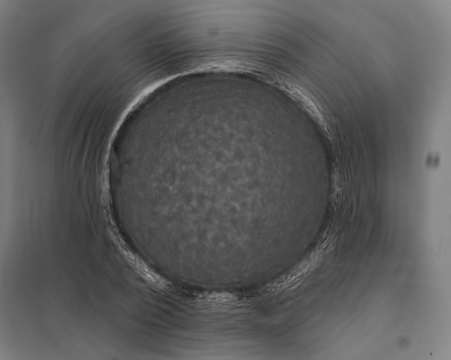 X0000097910784200803281401