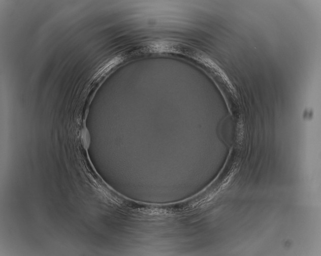 X0000097910785200803281401