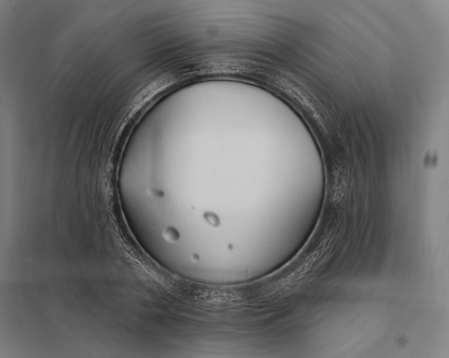 X0000097910786200803281401