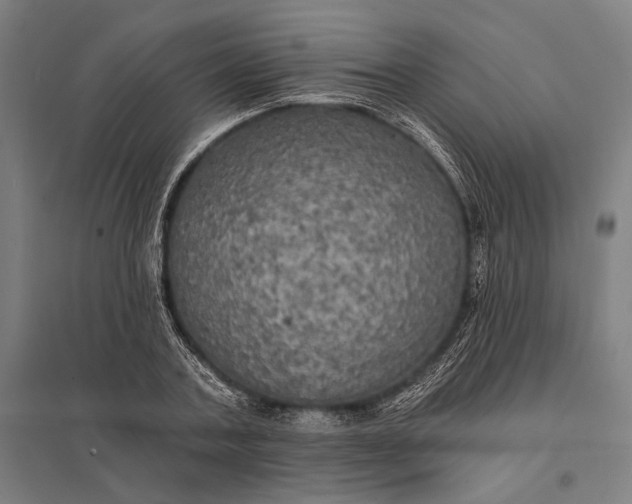 X0000097910787200803281401