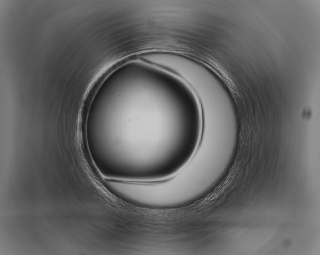 X0000097910788200803281401