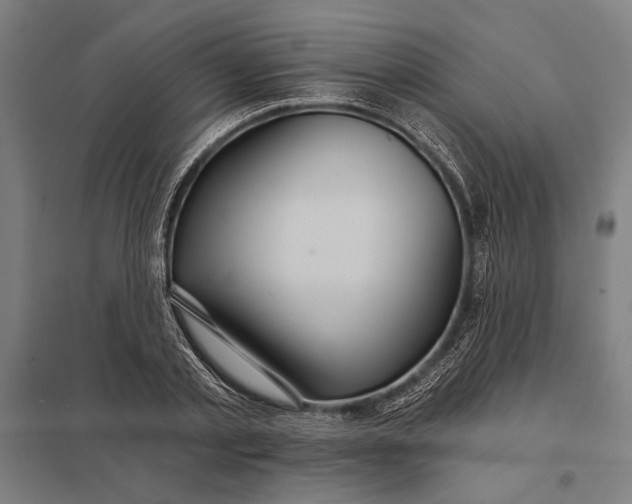 X0000097910789200803281401