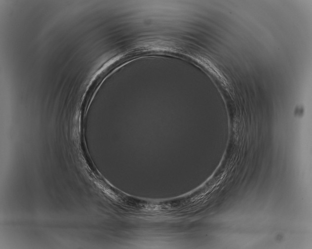 X0000097910790200803281401