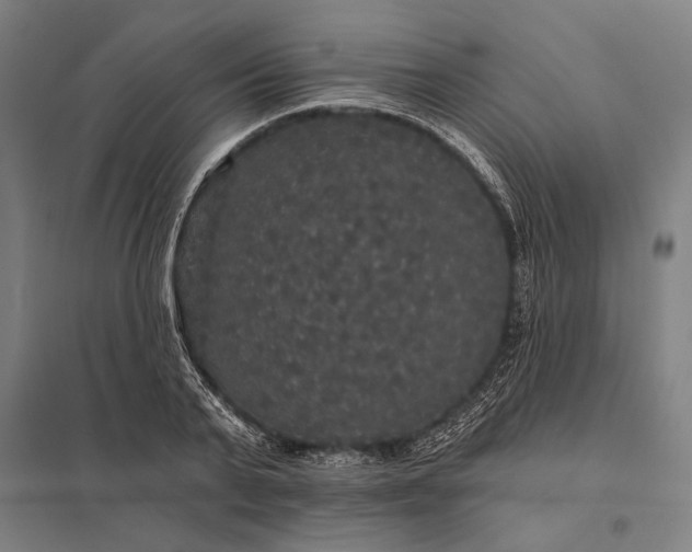 X0000097910791200803281401