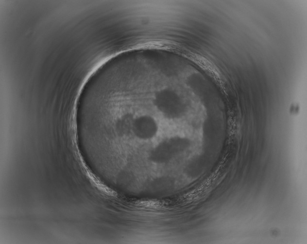 X0000097910792200803281401