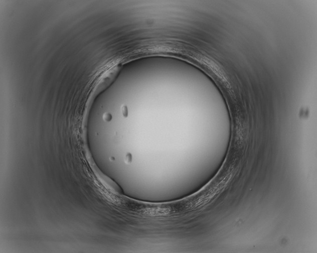 X0000097910793200803281401