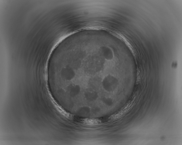 X0000097910795200803281401