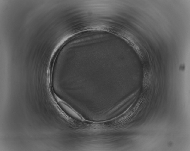 X0000097910796200803281401