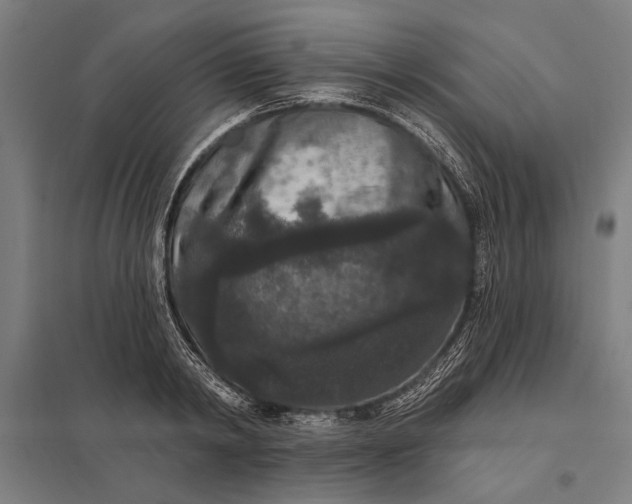 X0000097910798200803281401