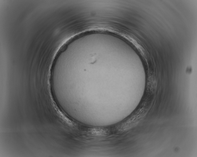 X0000097910799200803281401