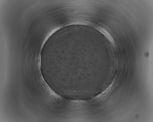 X0000097910804200803281401