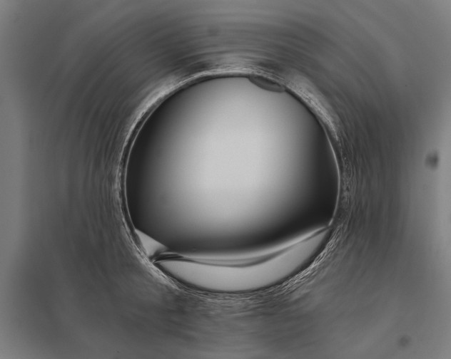 X0000097910805200803281401