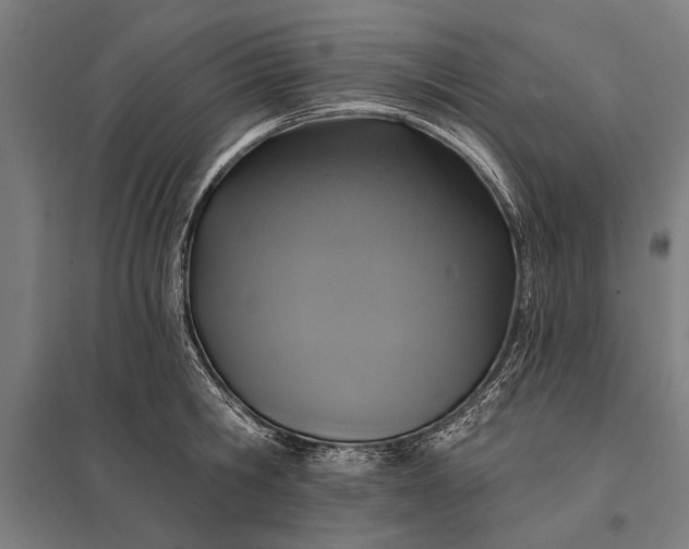 X0000097910806200803281401