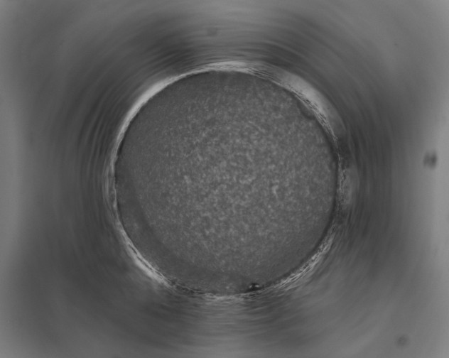 X0000097910808200803281401