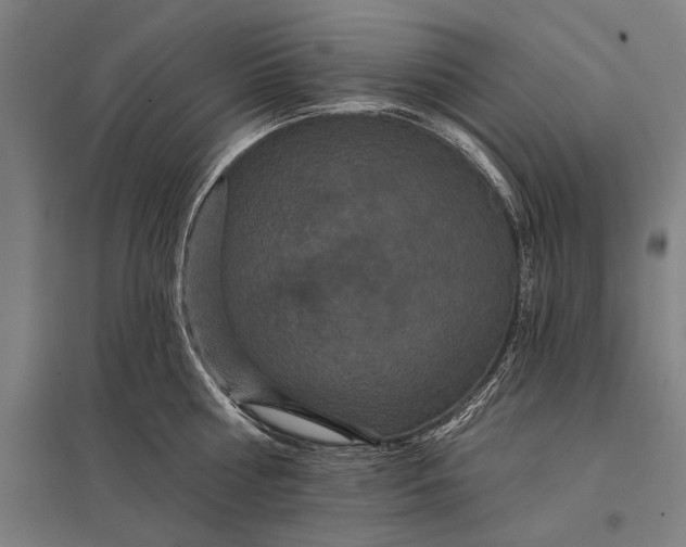 X0000097910810200803281401