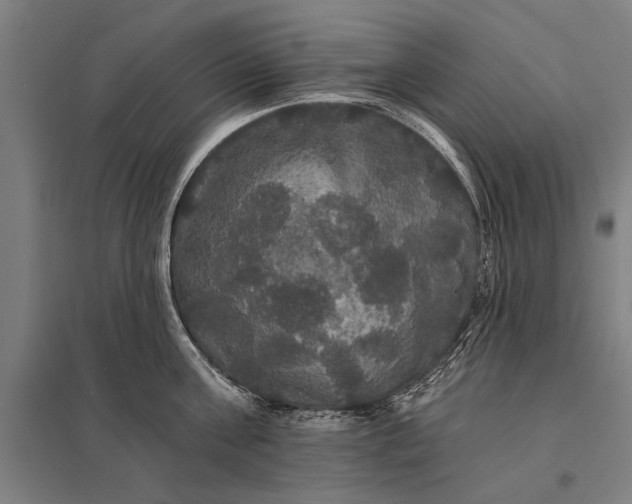 X0000097910811200803281401