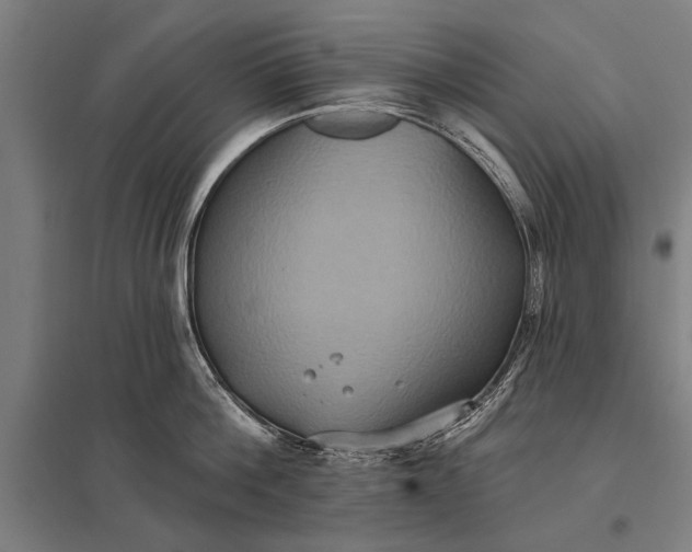 X0000097910812200803281401