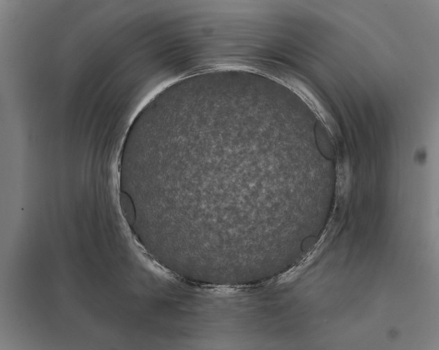 X0000097910814200803281401