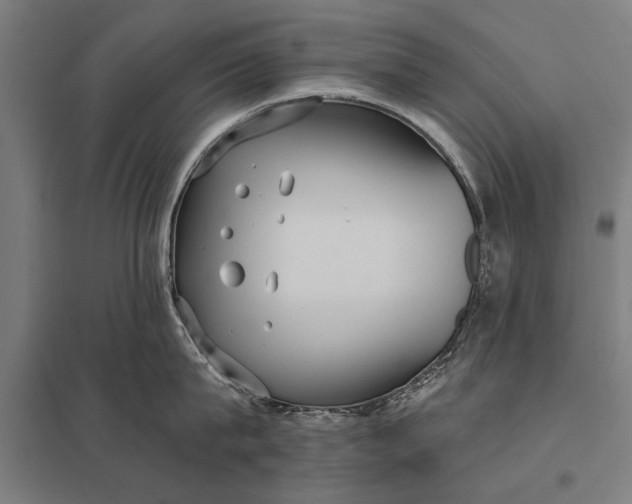 X0000097910815200803281401