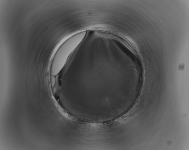 X0000097910816200803281401