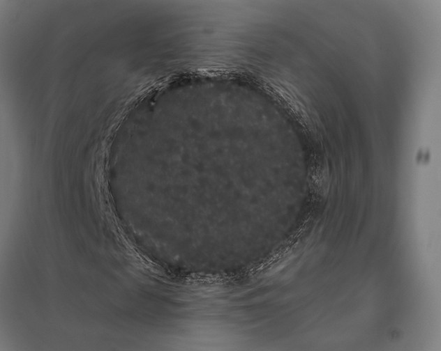 X0000097910817200803281400