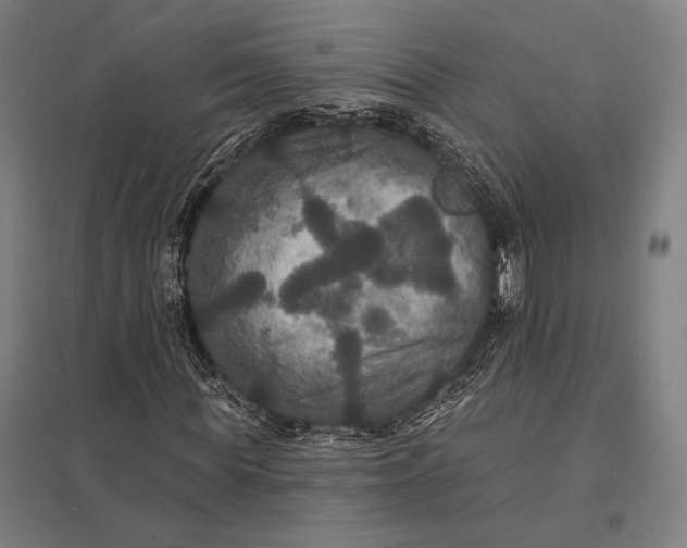 X0000097910819200803281400