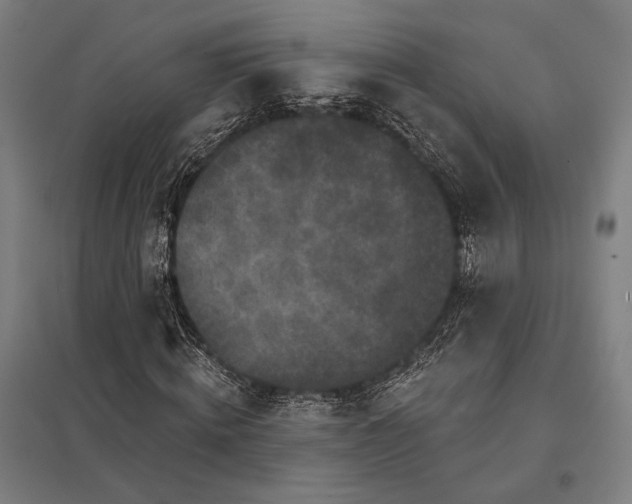 X0000097910820200803281400