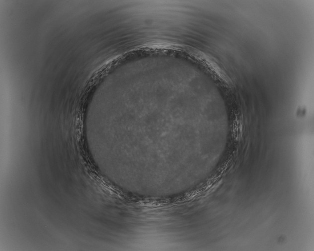 X0000097910821200803281400