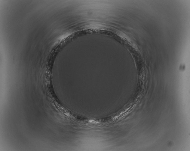 X0000097910822200803281400