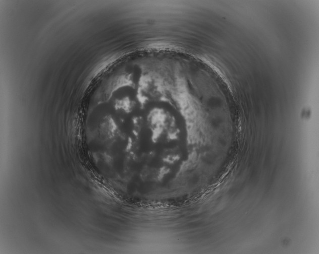 X0000097910823200803281400