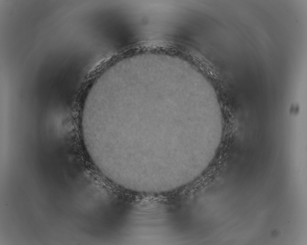 X0000097910824200803281400