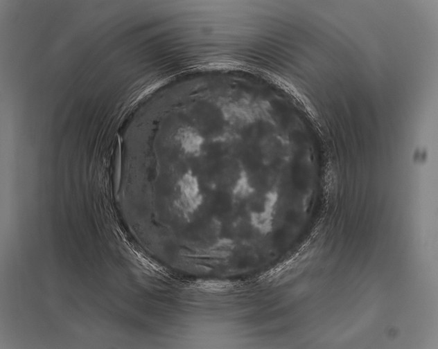 X0000097910825200803281400