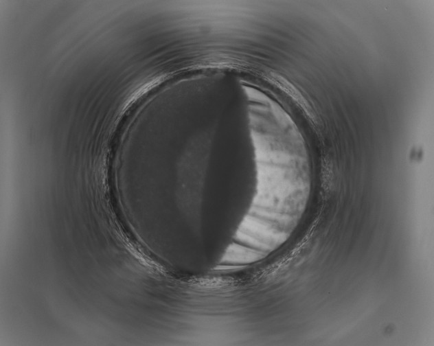 X0000097910826200803281400