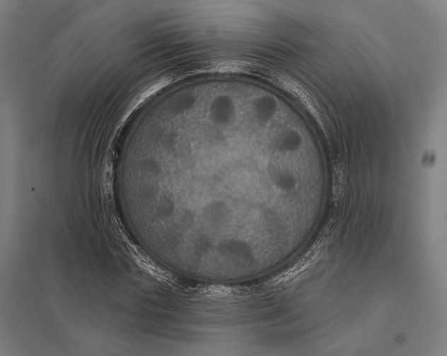 X0000097910827200803281400