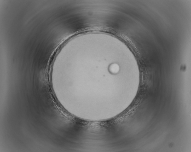 X0000097910828200803281400