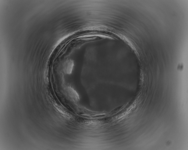 X0000097910830200803281400