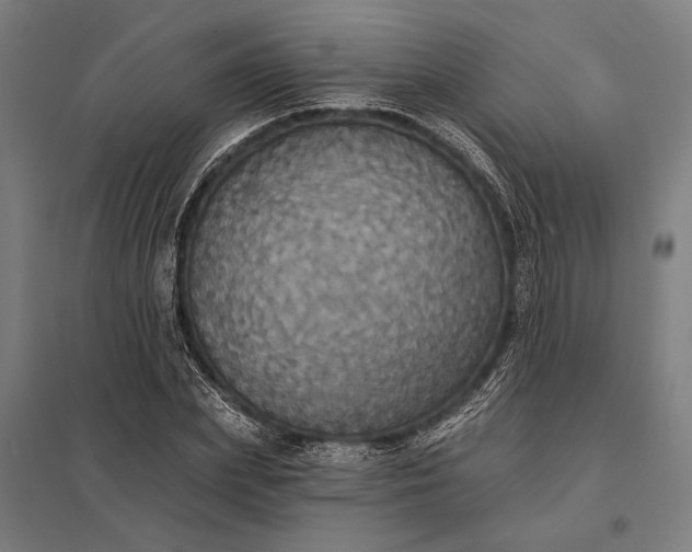 X0000097910831200803281400