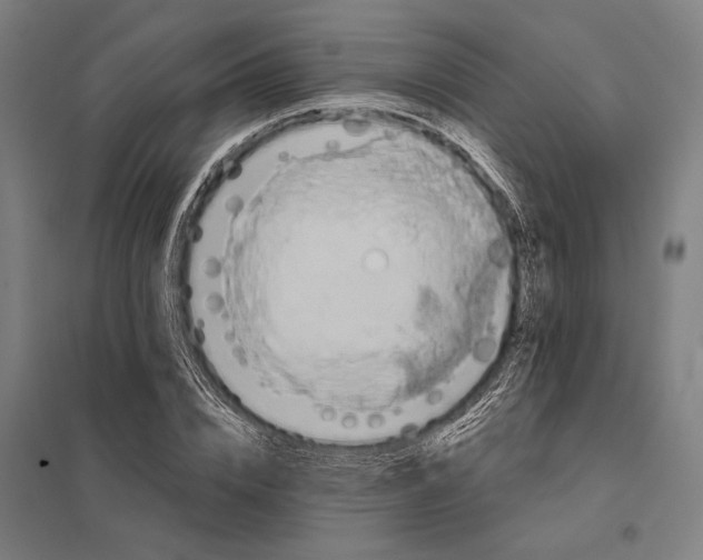 X0000097910832200803281401