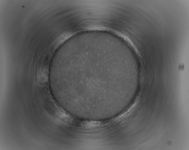 X0000097910833200803281401